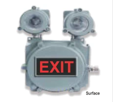Flameproof Emergency Light LED ML (FP) IP65 – Detection Technology